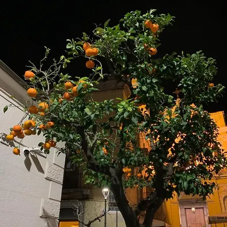 Appart hôtel La Dimora Di Cornelia